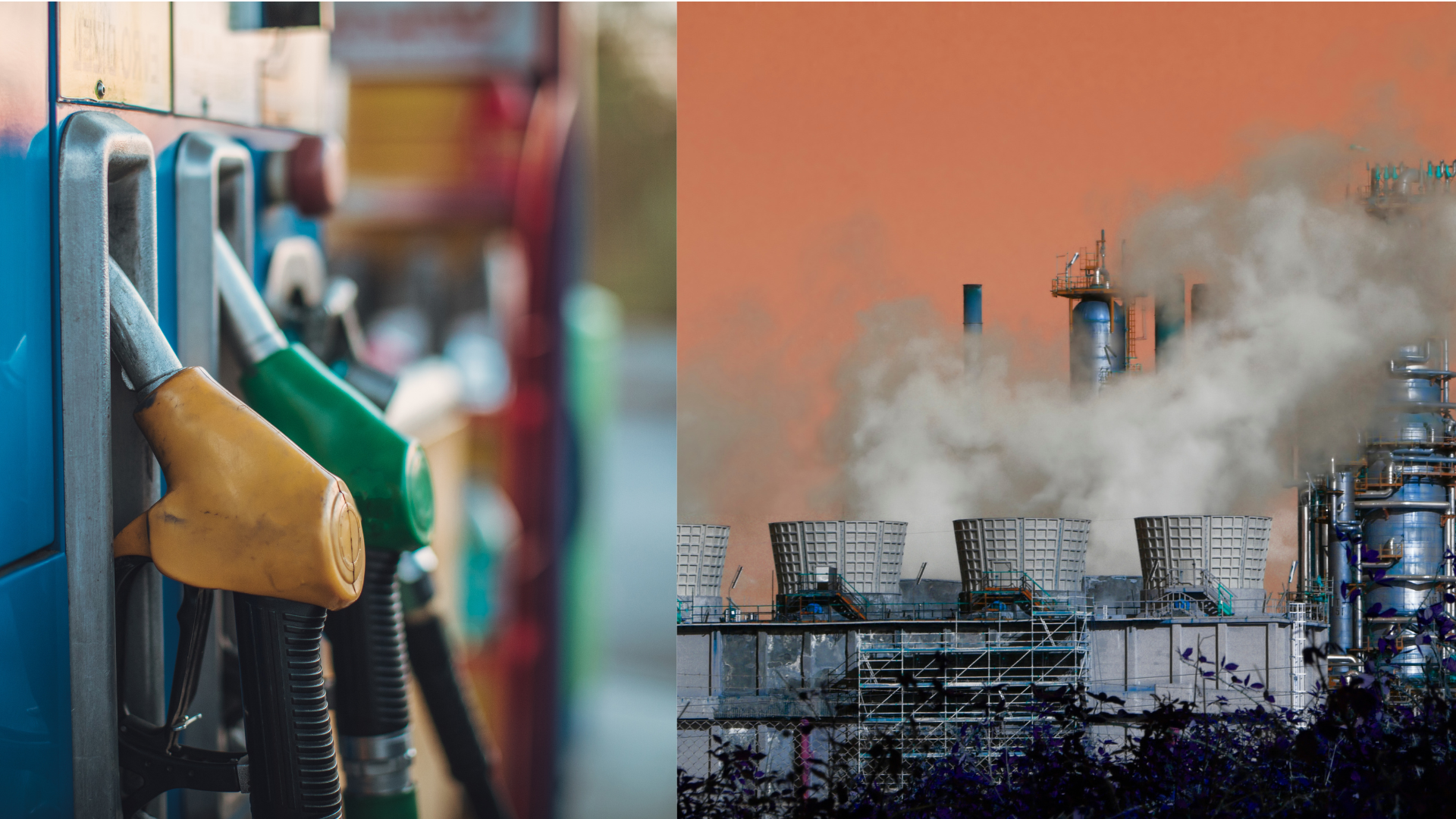 ¿Debería la UE modificar el Pacto Verde Europeo?