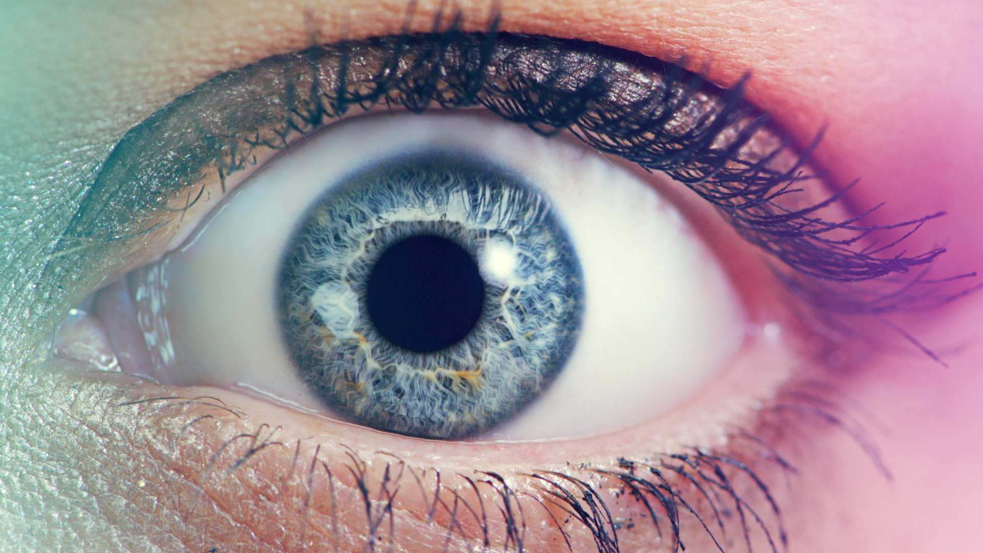 Movimiento woke o un nuevo totalitarismo