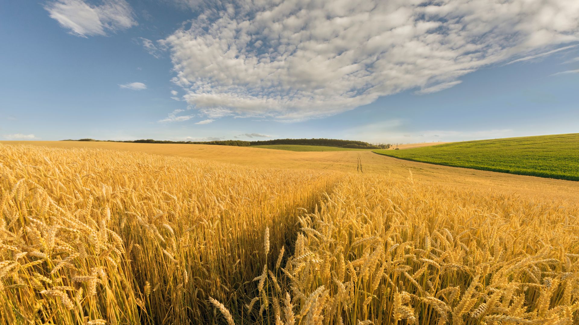 La reforma agraria de la Segunda República